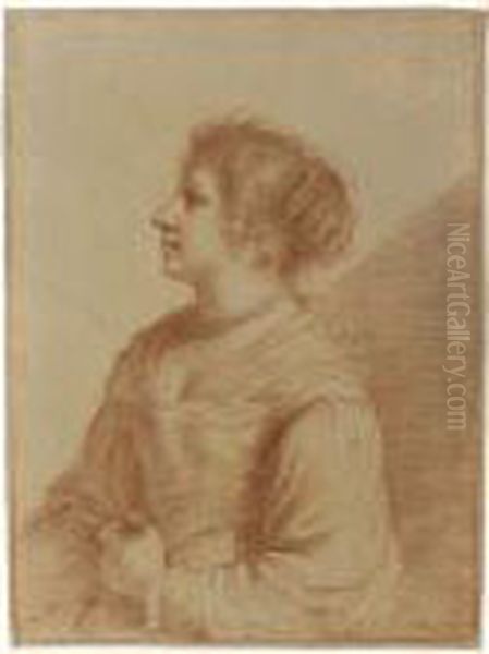 Study Of A Woman, In Profile To The Left Oil Painting by Giovanni Francesco Barbieri