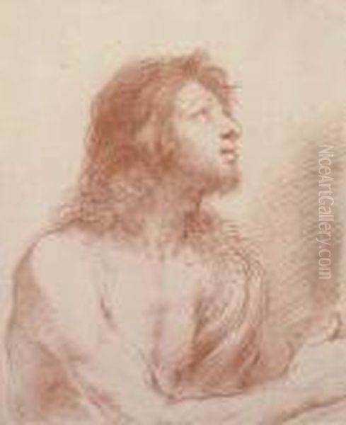 Saint John The Baptist, Half-length, Looking Up To The Right,holding A Bowl Oil Painting by Guercino