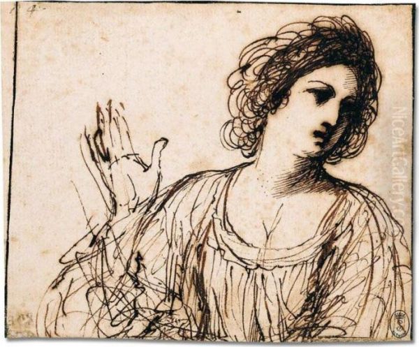 A Study Of A Young Woman, Head And Shoulders Oil Painting by Guercino