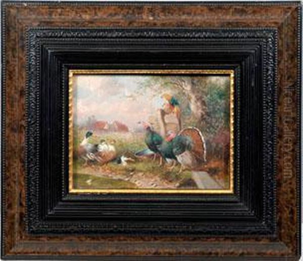 Vogelgruppe Mit Enten, Truthahnpaar Und Goldfasanen Am Weiher Oil Painting by Max I Hanger