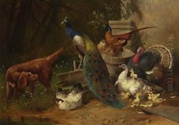 Geflugelhof Mit Hund Und
 Pfau. Oil Painting by Max I Hanger