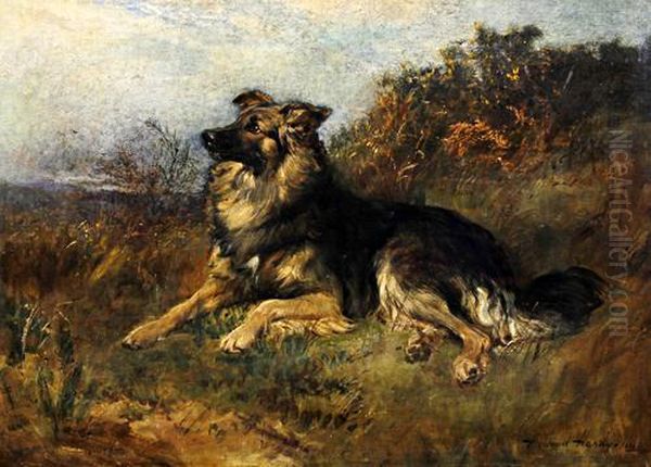 A Dog Seated On A Grassy Bank, Possibly A Collie Oil Painting by Heywood Hardy