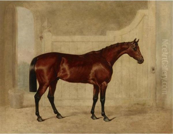 A Bay Horse In A Stable Oil Painting by John Frederick Herring Snr