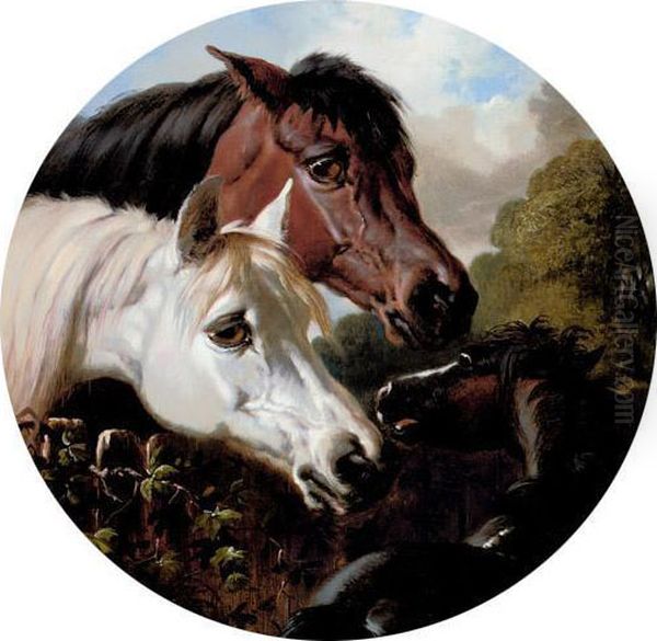 Two Horses With A Foal Oil Painting by John Frederick Herring Snr