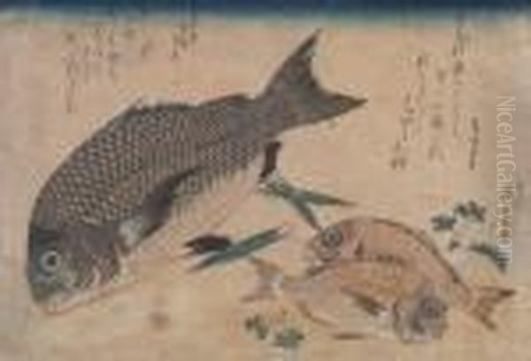 Kurodai,
 Color Full Size Woodcut, Fading, Toned 
- Nishiki-e, Horizontal Oban Oil Painting by Utagawa or Ando Hiroshige