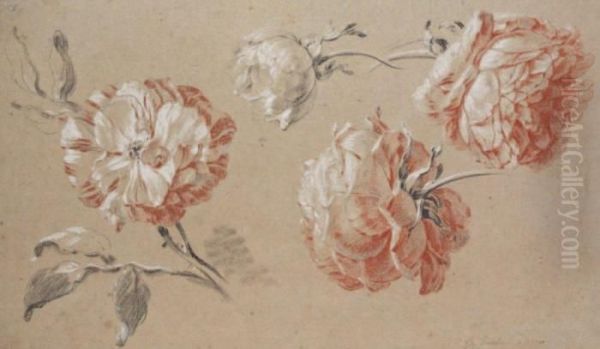 Etude De Roses Oil Painting by Jean-Baptiste Huet I