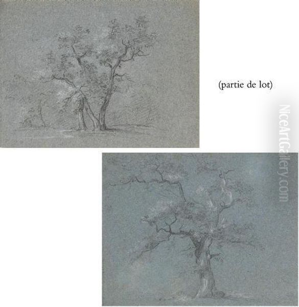 Suite De Quatre Etudes D'arbres Oil Painting by Jean-Baptiste Huet I
