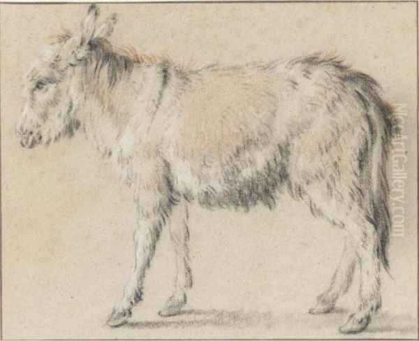 Donkey Oil Painting by Jean-Baptiste Huet I