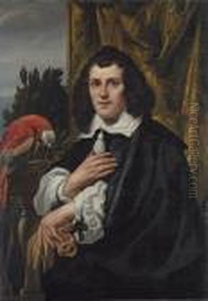 Portrait Of A Young Man, 
Half-length, In Black Doublet And Cloakwith White Collar And Sleeves, 
Holding A Pair Of Gloves, A Parroton A Parapet Beside Him Oil Painting by Jacob Jordaens