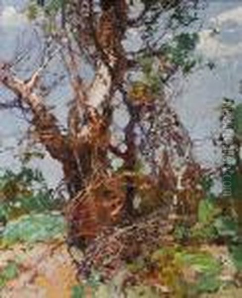 The Aged Tree Oil Painting by Stepan Feodorovich Kolesnikov