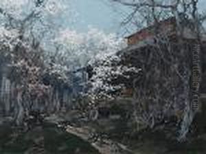 Spring Blooms
