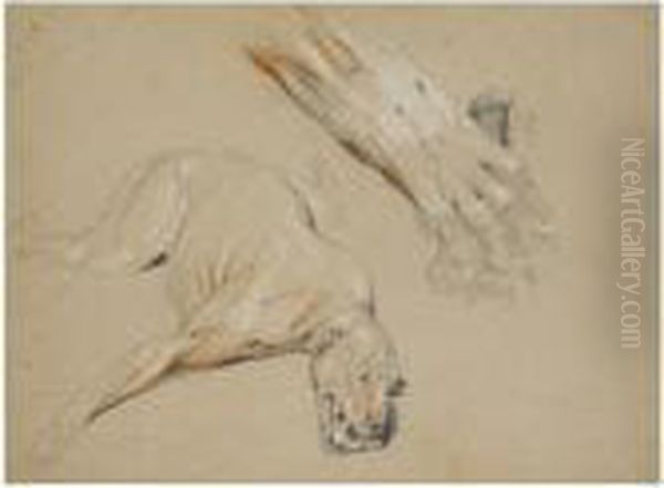 A Wild Cat And The Paw Of A Wild Cat Oil Painting by Landseer, Sir Edwin