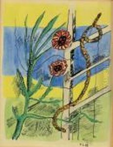 Echelle Et Cactus