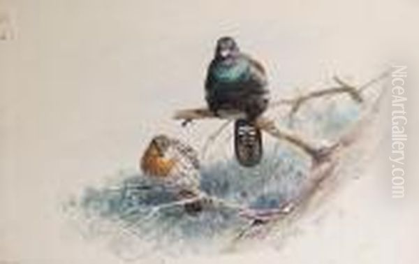 Studies Of Capercaillies Oil Painting by George Edward Lodge