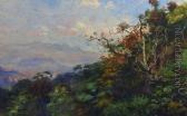Oil On Paper - 