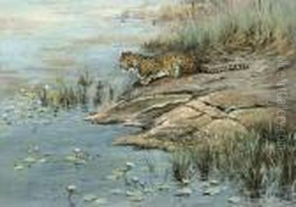 A Leopard By The Water's Edge Oil Painting by George Edward Lodge