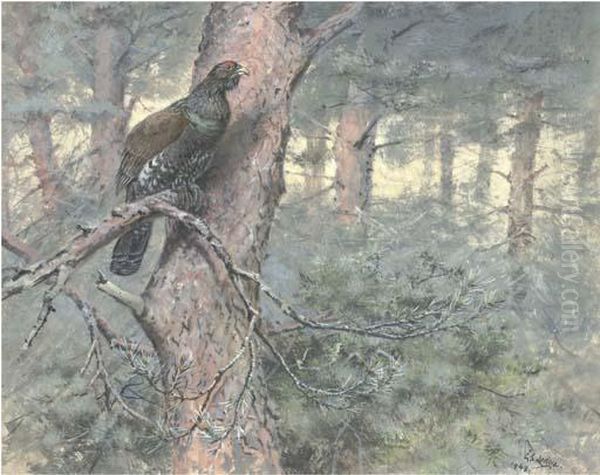 Capercaillie, On Scots Pine Oil Painting by George Edward Lodge
