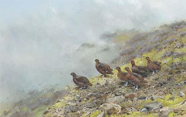 Red Grouse On A Scottish Moor Oil Painting by George Edward Lodge