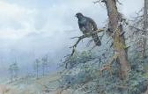 Capercaillie Oil Painting by George Edward Lodge