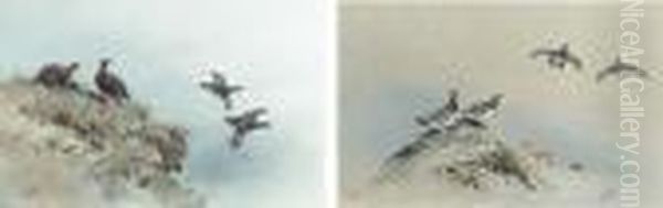 Red Grouse In Flight; Ptarmigan In Flight Oil Painting by George Edward Lodge