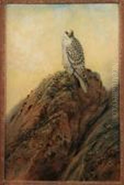 Gyr Falcon Oil Painting by George Edward Lodge