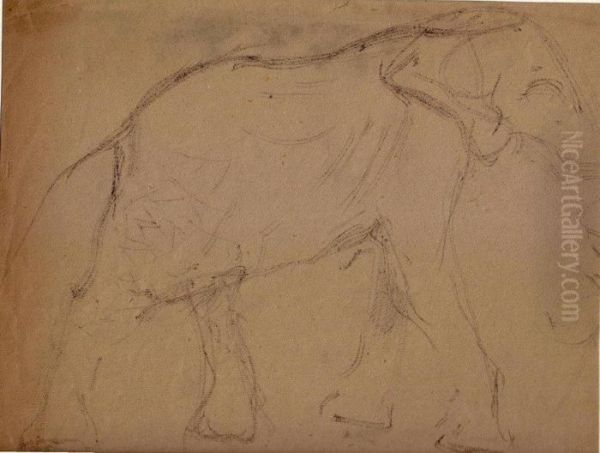 Zoo De Vincennes : Elephant Oil Painting by Albert Marquet