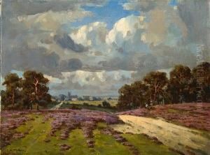 Lavender Fields