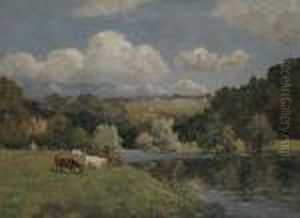 Country Landscape With Cattle Grazing
