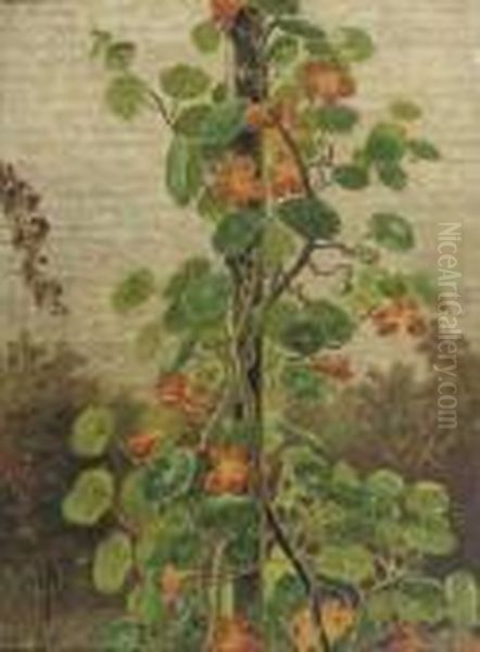 Flowering Oostindische Kers Oil Painting by Hendrik Willem Mesdag