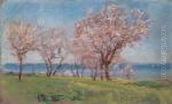 Paesaggio D