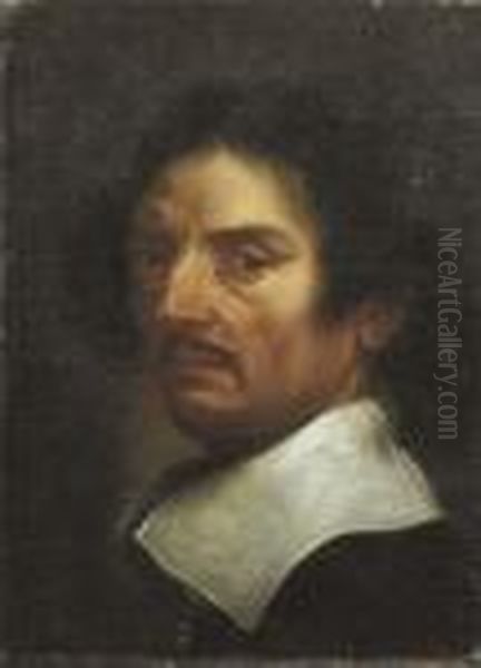 Autoritratto Oil Painting by Jan Miel