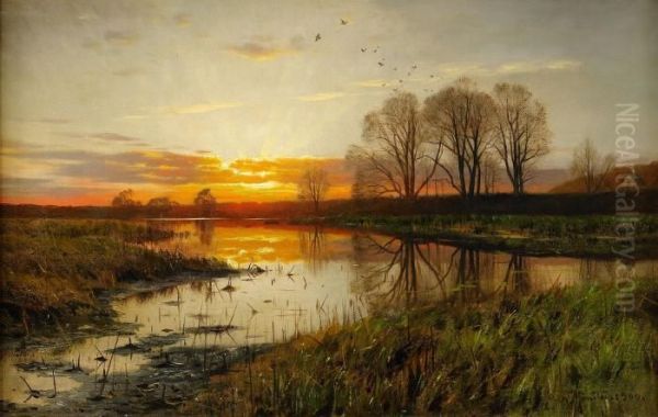 Solnedgang Over Vattendrag Oil Painting by Peder Mork Monsted
