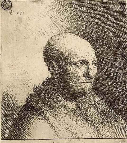 Bald Man in a Fur Cloak Bust Oil Painting by Harmenszoon van Rijn Rembrandt