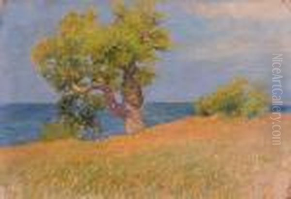 Marina Con Albero Oil Painting by Carlo Passigli