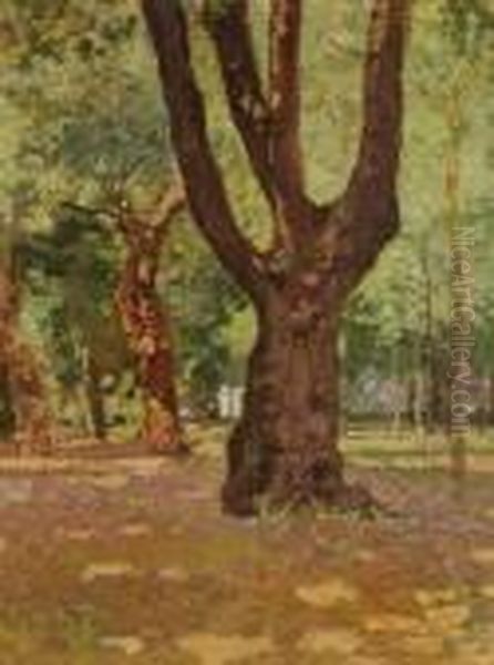 Alberi Oil Painting by Carlo Passigli