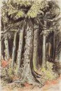 Wald