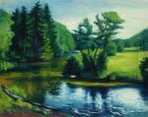 Fluss-spiegelungen - Bodetal