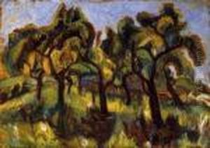Trees In The Garden
