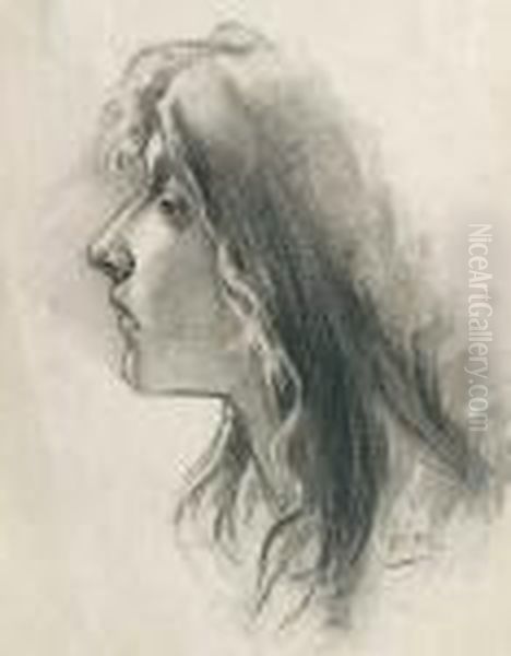 Muchacha De Perfil Oil Painting by Cecilio Pla Y Gallardo