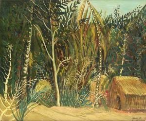 Solitude Dans Le Foret Africaine