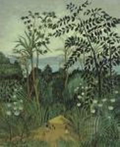 La Case Dans La Foret Vierge