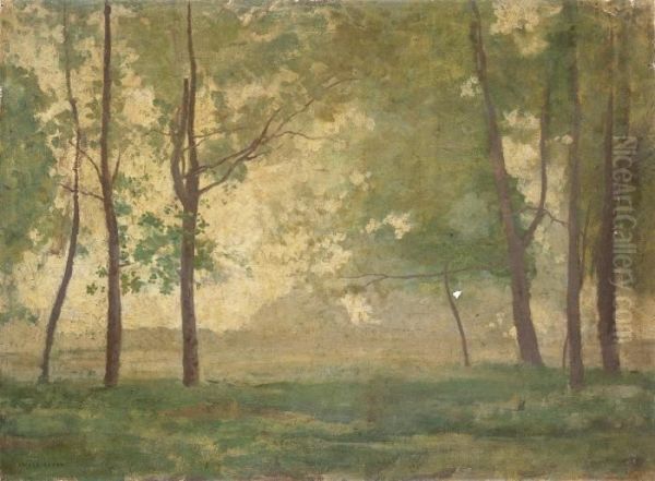 Sous-bois Au Printemps Oil Painting by Odilon Redon