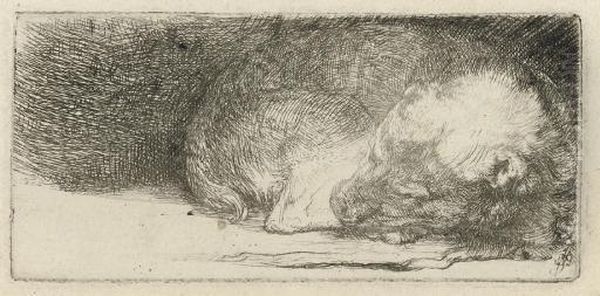 A Sleeping Puppy (b., Holl. 158; H. 174) Oil Painting by Rembrandt Van Rijn
