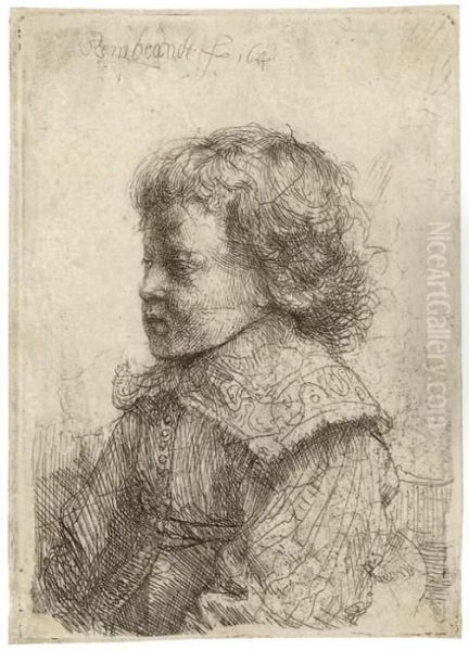 Portrait Of A Boy, In Profile Oil Painting by Rembrandt Van Rijn
