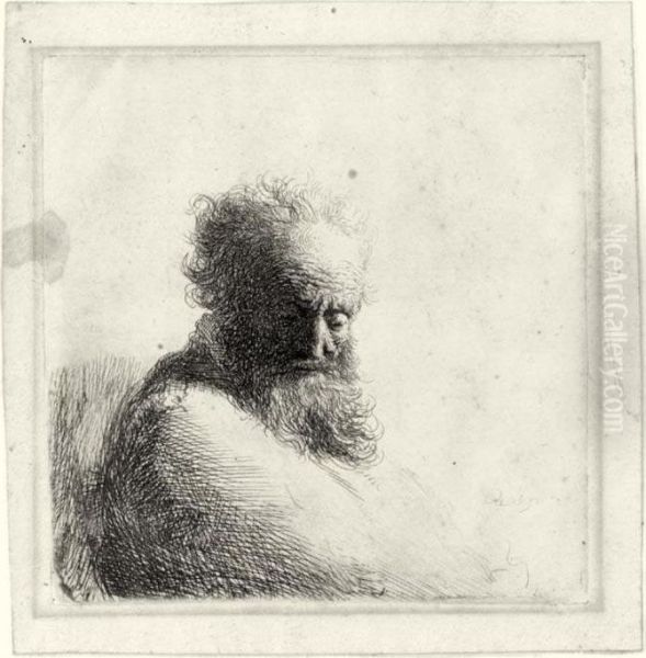 Bust Of An Old Bearded Man, 
Looking Down, Three Quarters Right (b., Holl. 260; H.47; Bb. 37-e) Oil Painting by Rembrandt Van Rijn