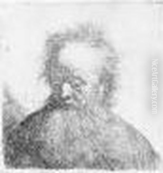 Old Man With A Flowing Beard: Bust (b., Holl.315; H.48; Bb.31-f) Oil Painting by Harmenszoon van Rijn Rembrandt