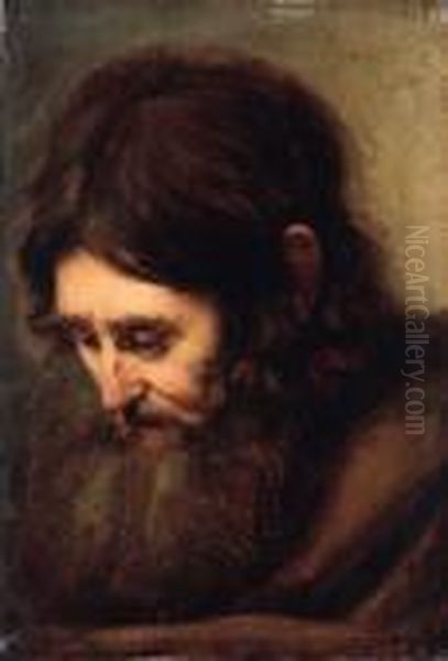 A Bearded Man, Head-and-shoulders Oil Painting by Rembrandt Van Rijn