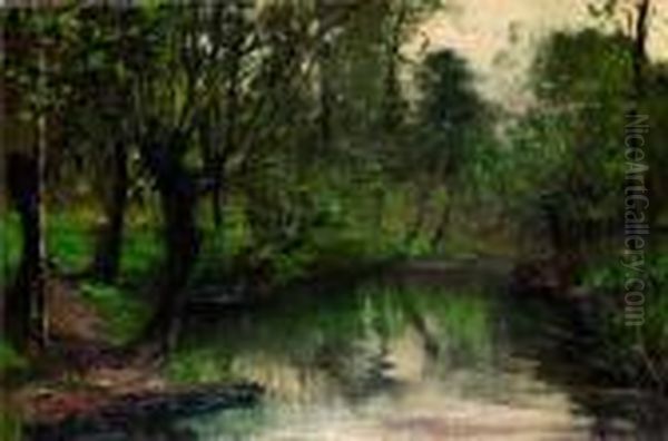 Sottobosco Con Ruscello Oil Painting by Leonardo Roda