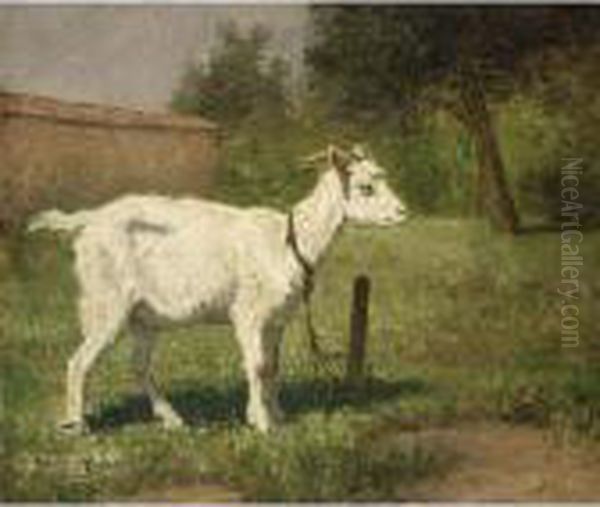 A Goat In A Meadow Oil Painting by Henriette Ronner-Knip