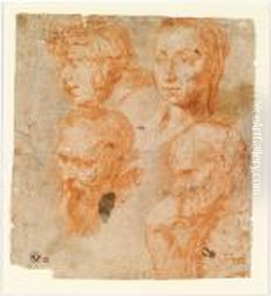Vier Kopfstudien Oil Painting by (studio of) Rubens, Peter Paul